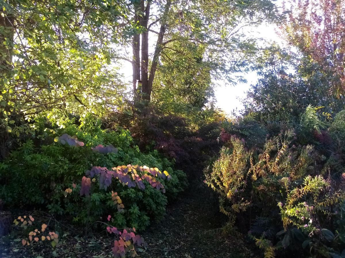 Bed and Breakfast Hissele Hilsenheim Esterno foto